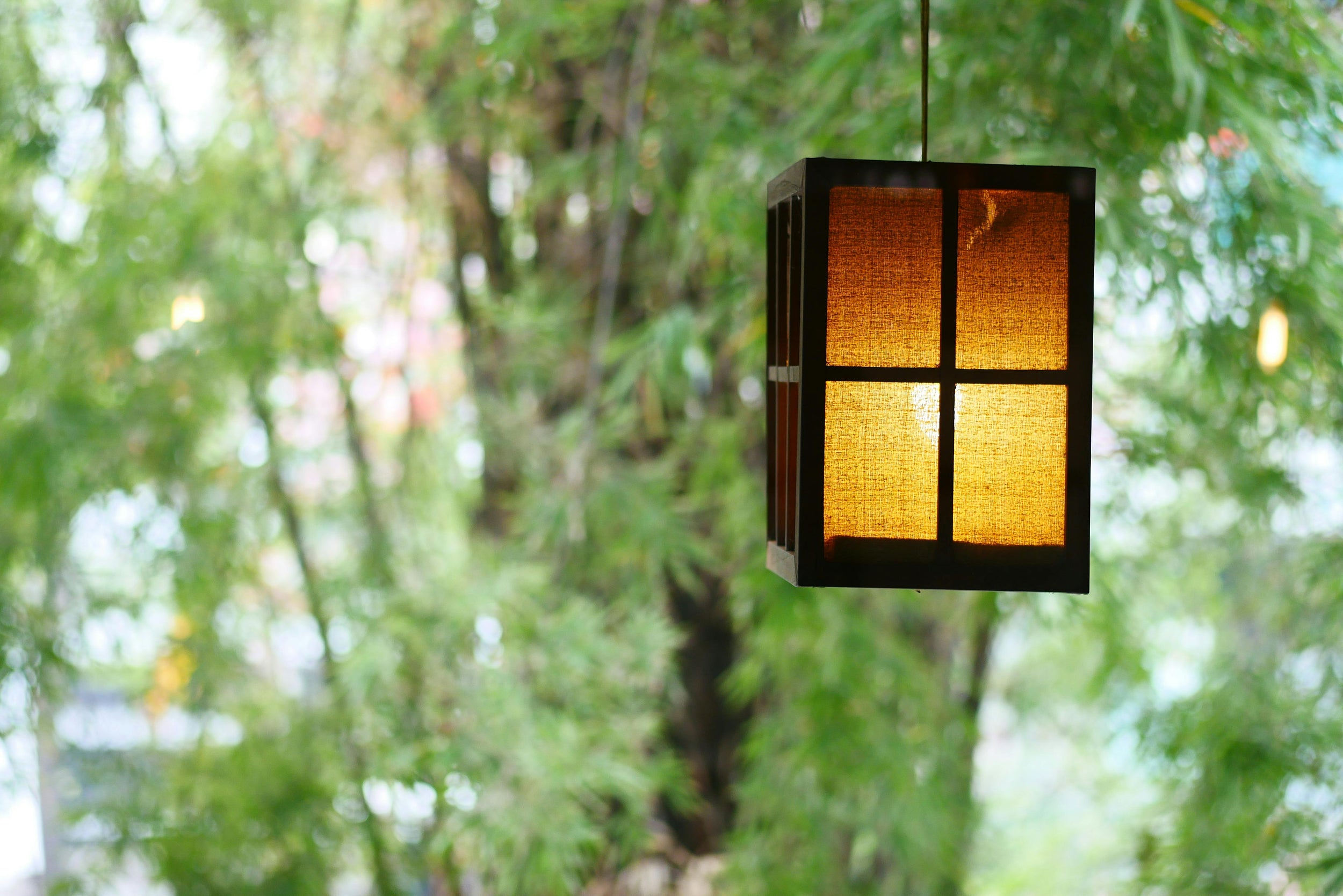 Lantern
